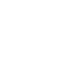 The Switched Electrical logo